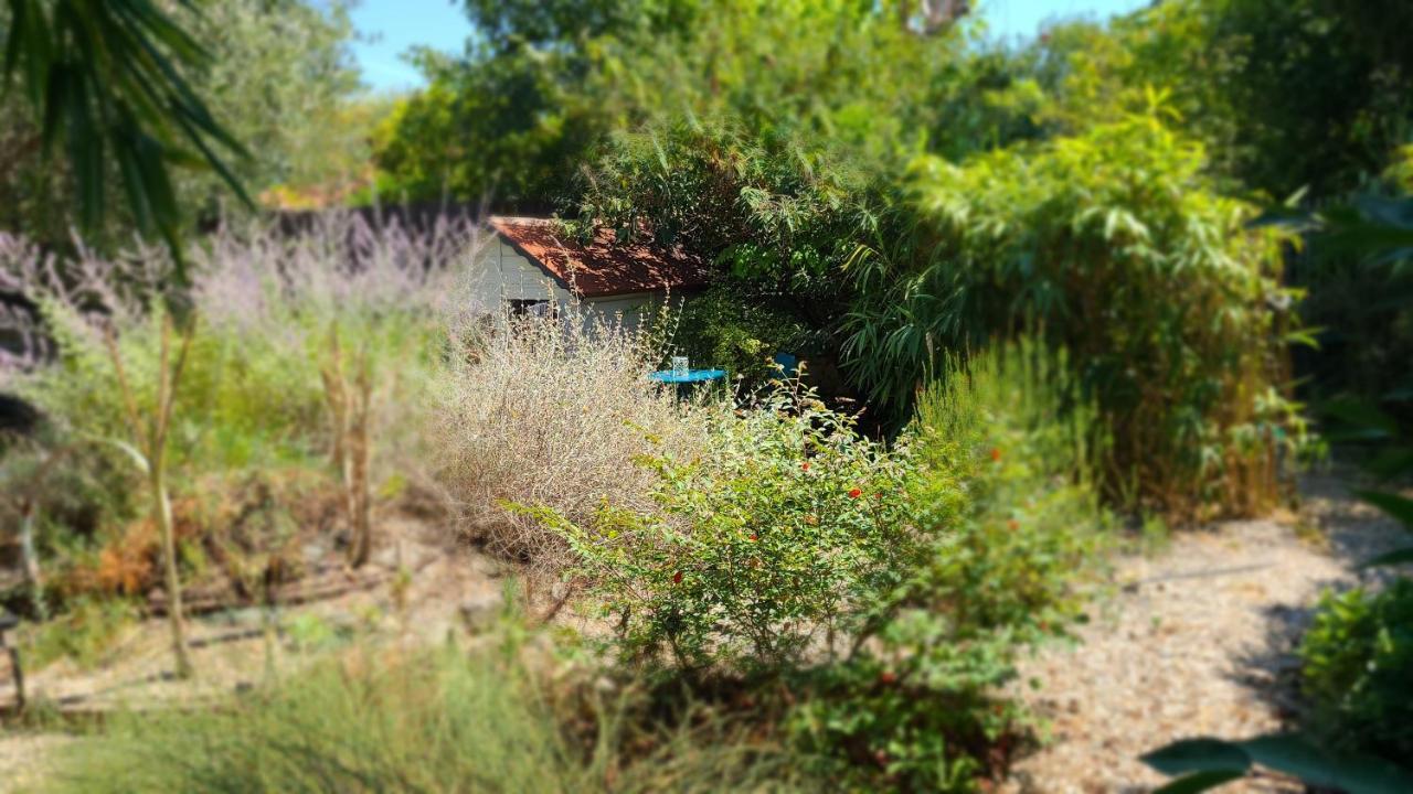 Апартаменты Chez Nous Dans Notre Petit Jardin Монпелье Экстерьер фото